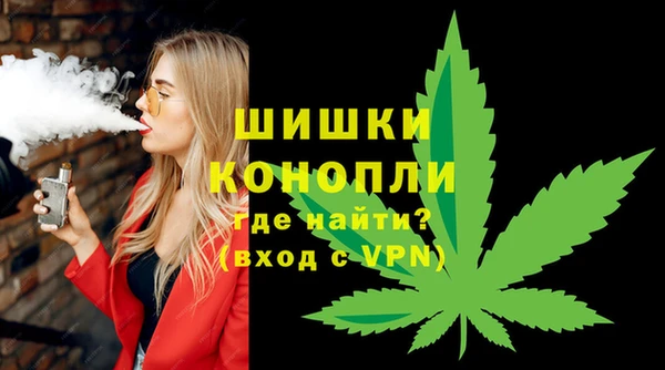 гидра Горно-Алтайск