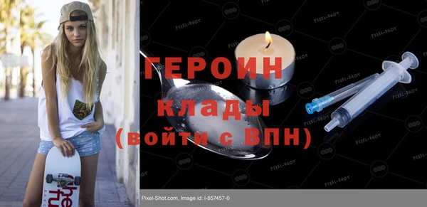 гидра Горно-Алтайск