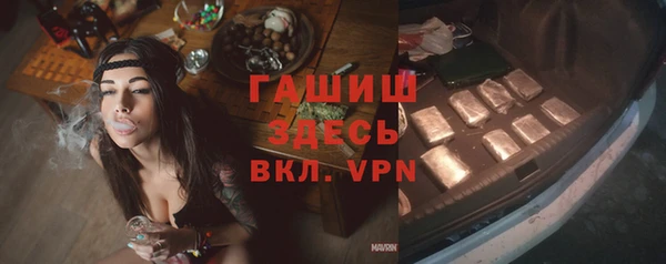 гидра Горно-Алтайск