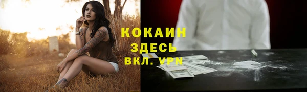 гидра Горно-Алтайск