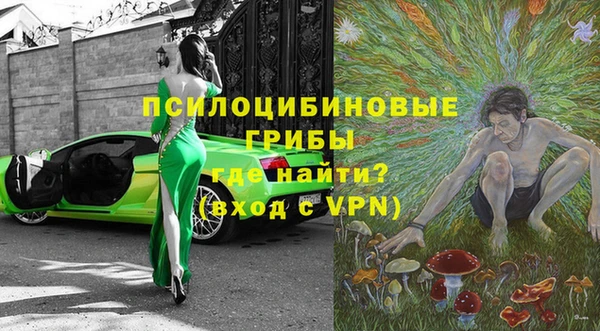 гидра Горно-Алтайск