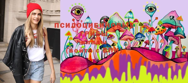 ешки Горняк