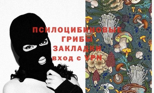 ешки Горняк