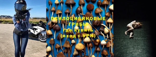 ALPHA-PVP Горнозаводск