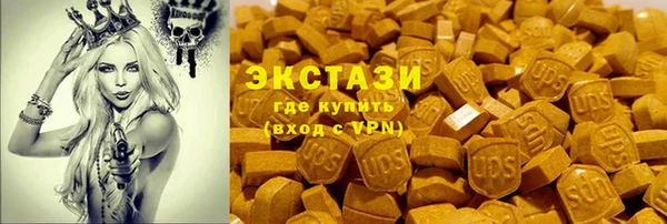 ешки Горняк