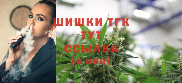 ALPHA-PVP Горнозаводск